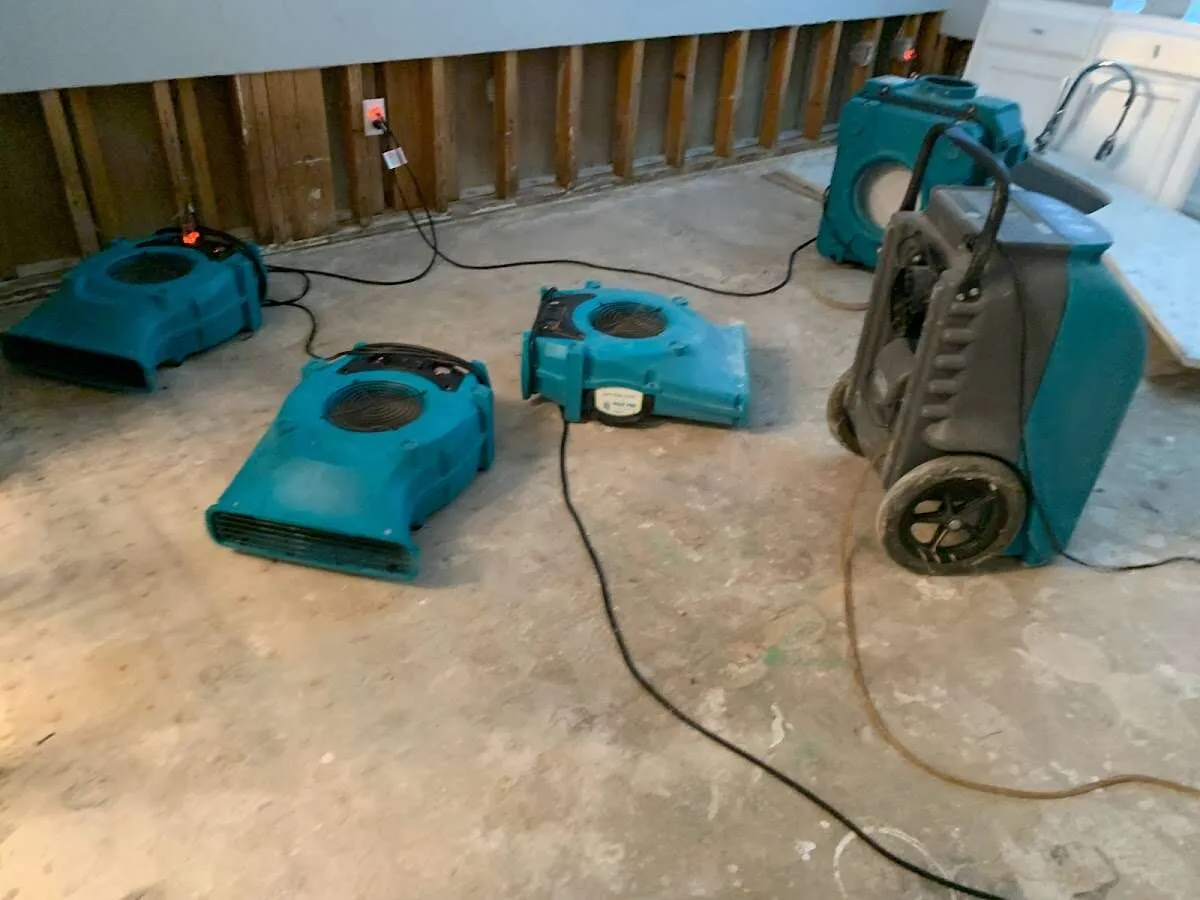 Water Damage Restoration services in Renton, WA
